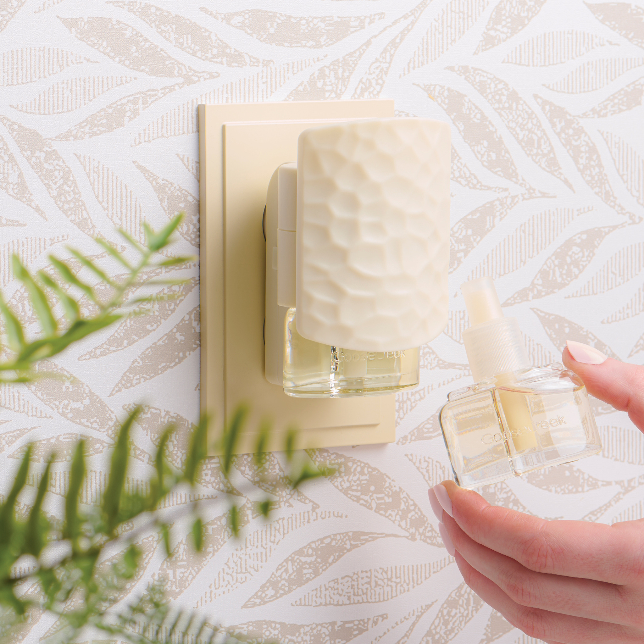 Fragrance That Feels Like Home